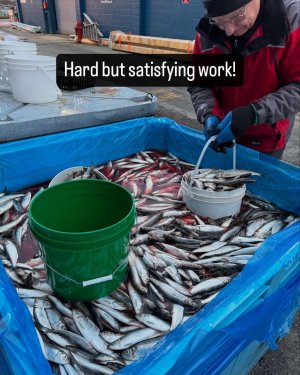 IMG_2237.jpeg IMG_2237.jpeg