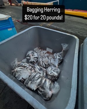 IMG_2238.jpeg IMG_2238.jpeg