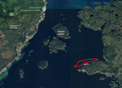 Screenshot 2026-02-28 150911.png