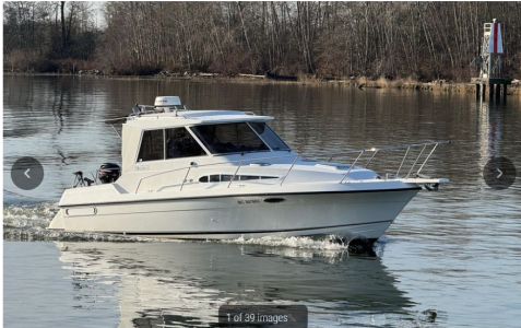 1773029516805.png 1773029516805.png