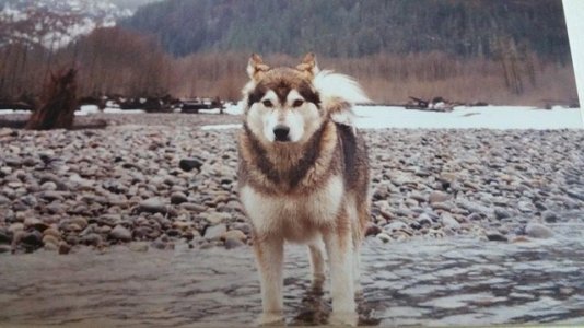 52605828_563770174124559_5935827399311622144_o 2.jpeg 52605828_563770174124559_5935827399311622144_o 2.jpeg