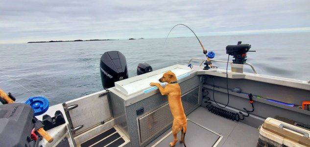 20250727_110552.jpg 20250727_110552.jpg