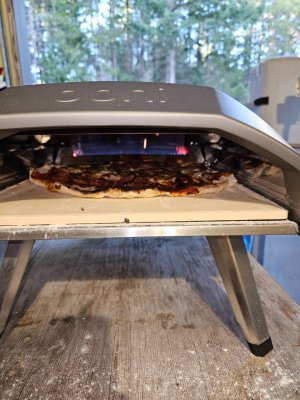 20260329_182525.jpg 20260329_182525.jpg