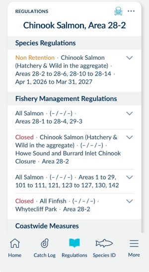 IMG_5051.jpeg IMG_5051.jpeg