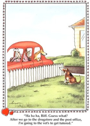 1775929638101.png 1775929638101.png