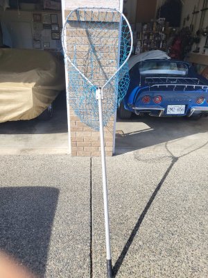 8 ft net.jpg