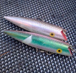 IMG_20260426_154335477_HDR (1).jpg