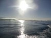 DSC01248.jpg