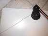 DSCN0284.jpg