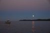 DSC_2971.jpg