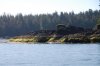 DSC_2973.jpg