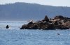 DSC_2993.jpg