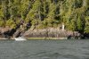 DSC_3043.jpg