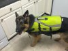 carson lifejacket.jpg