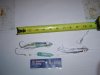 DSC01050.jpg