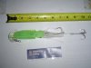DSC01047.jpg