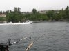 SOOKE SALMON 2012 041.jpg