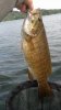 2012-08-02_11-11-21_240.jpg