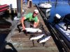 salmon 1.jpg