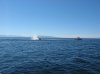 IMG_4754.jpg