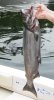 DSC_1540-Teasing.the.Seal.jpg
