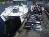 tuna 011.jpg