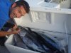 tuna 002.jpg