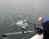 DSC_1605-Greg.Net-02.jpg