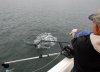 DSC_1606-Greg.Net-03.jpg