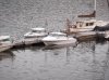 Winter Harbour 2012 017 (640x480).jpg