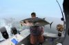 tuna.jpg