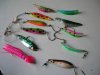 coho012.jpg