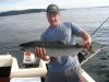 coho 001.jpg