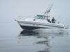 2012.09 Bamfield Why Knot.jpg