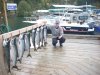 browns bay Dad.jpg