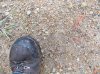 DSCN0313.jpg