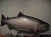 DSC01606.jpg