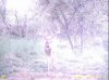 whitetail.jpg