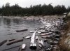 bay.jpg