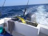 DSCN4329.jpg