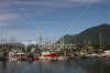 stock-photo-3618144-harbor-at-tofino.jpg