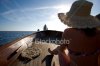 stock-photo-4848840-summertime.jpg