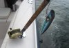 IMG_5143plug2.jpg