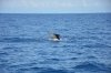 DSC_3579.jpg