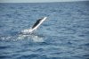 DSC_3608.jpg
