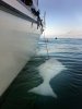 IMG_4321res.jpg