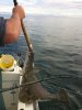 IMG_4329res.jpg