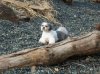 100_0591.jpg
