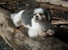 100_0617.jpg