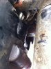 crankshaft leak.jpg
